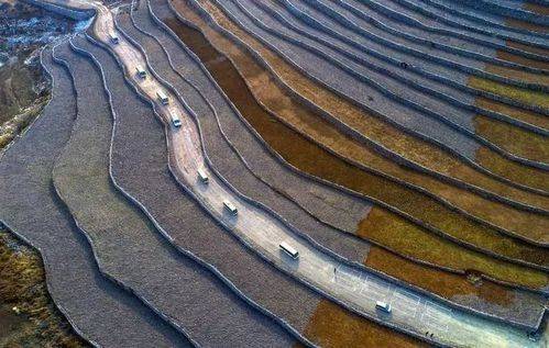 Dansing plantation technology