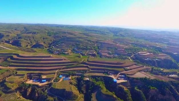 Dansing plantation technology
