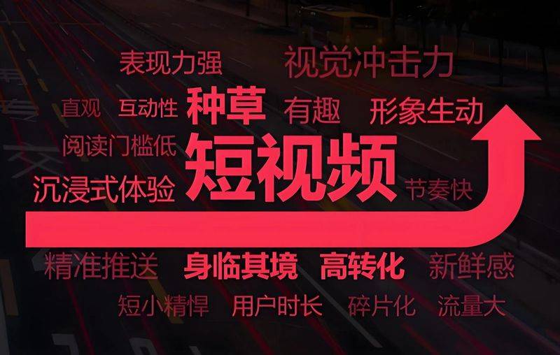 2026国内视频网站排名