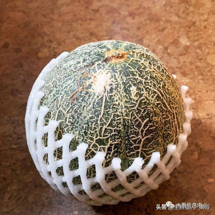 甜瓜种植技术视频