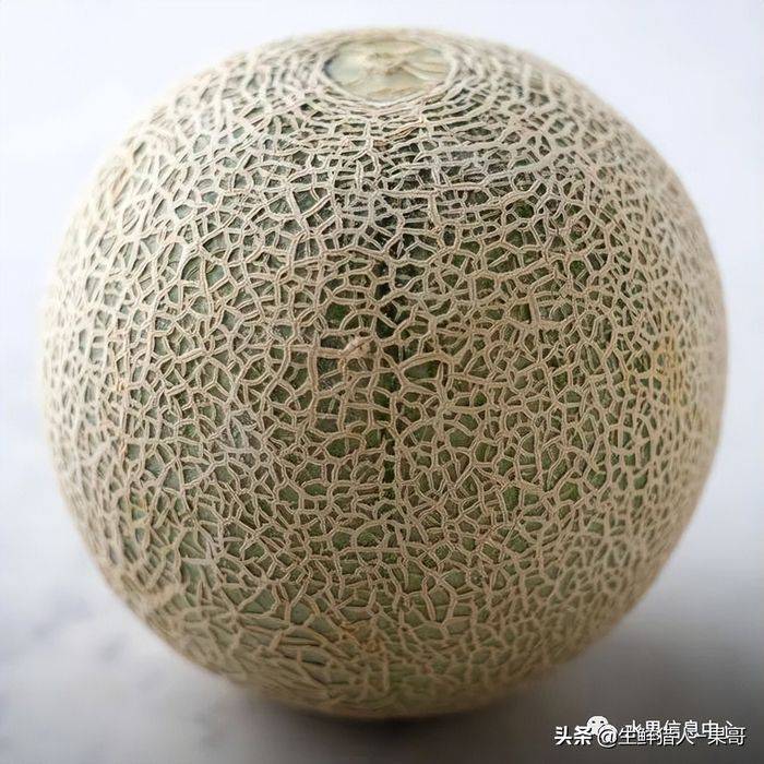 甜瓜种植技术视频