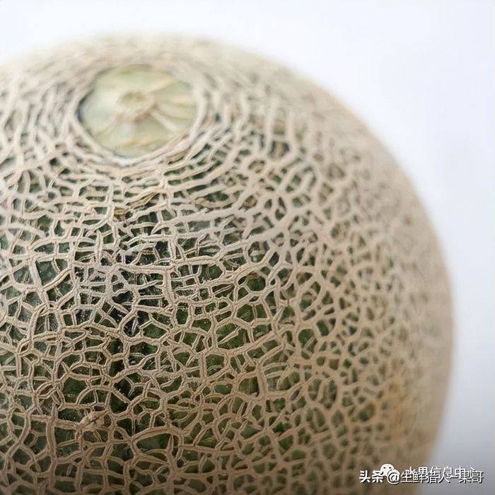 甜瓜种植技术视频