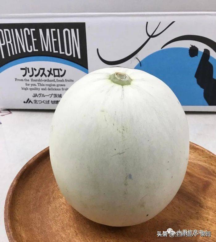 甜瓜种植技术视频