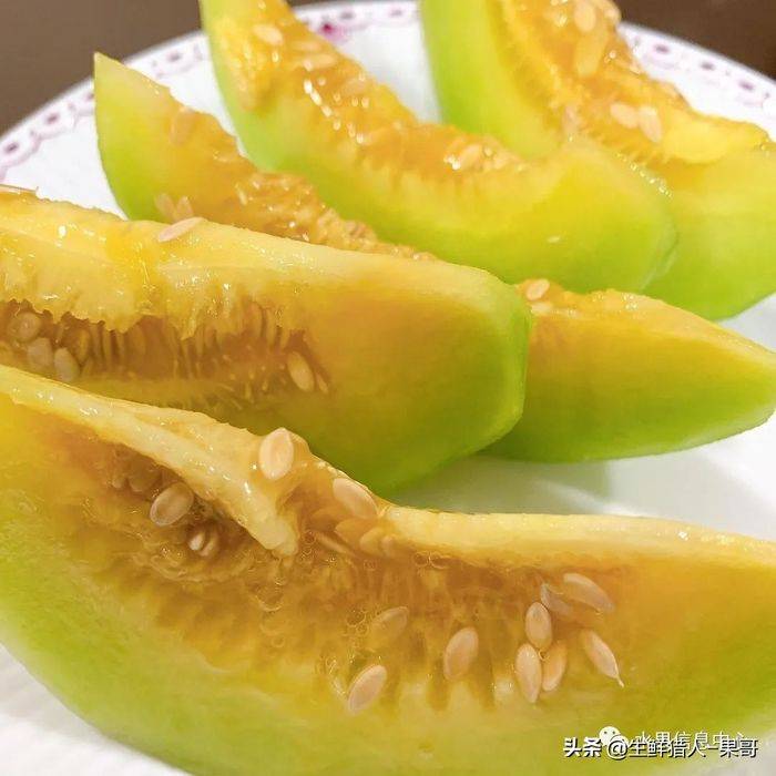 甜瓜种植技术视频