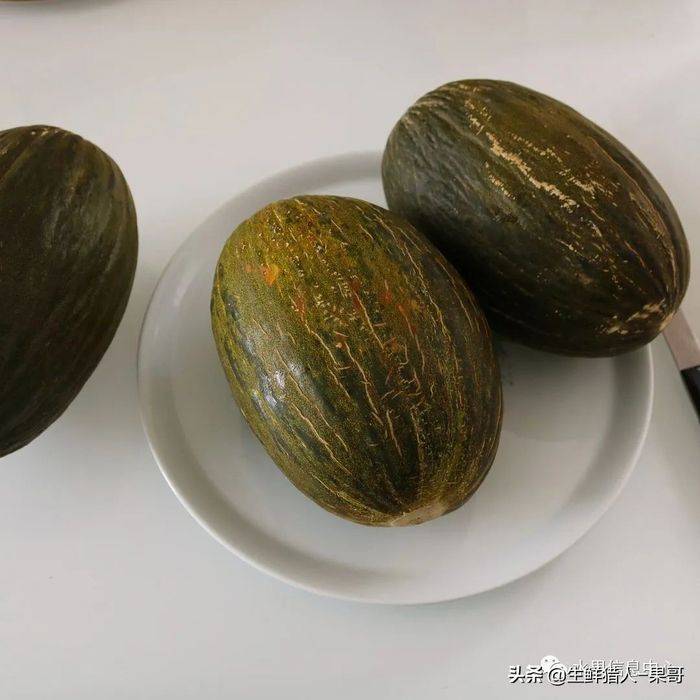 甜瓜种植技术视频