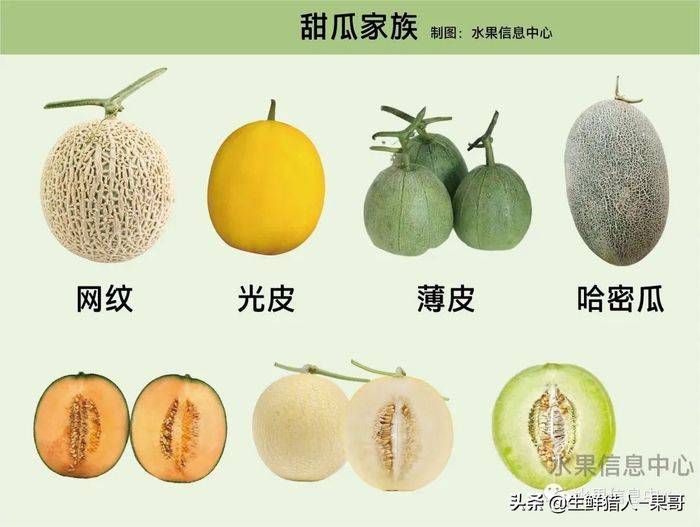 甜瓜种植技术视频