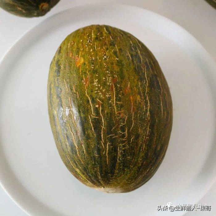 甜瓜种植技术视频