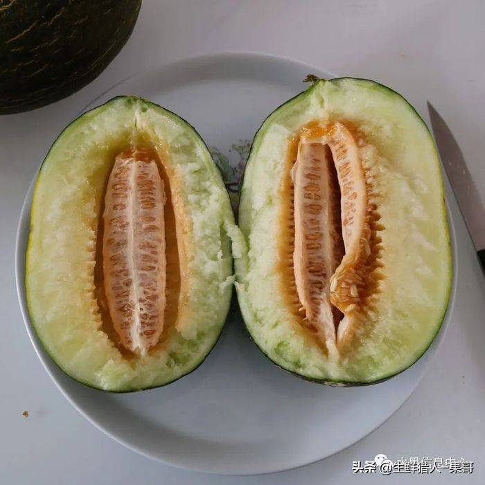 甜瓜种植技术视频