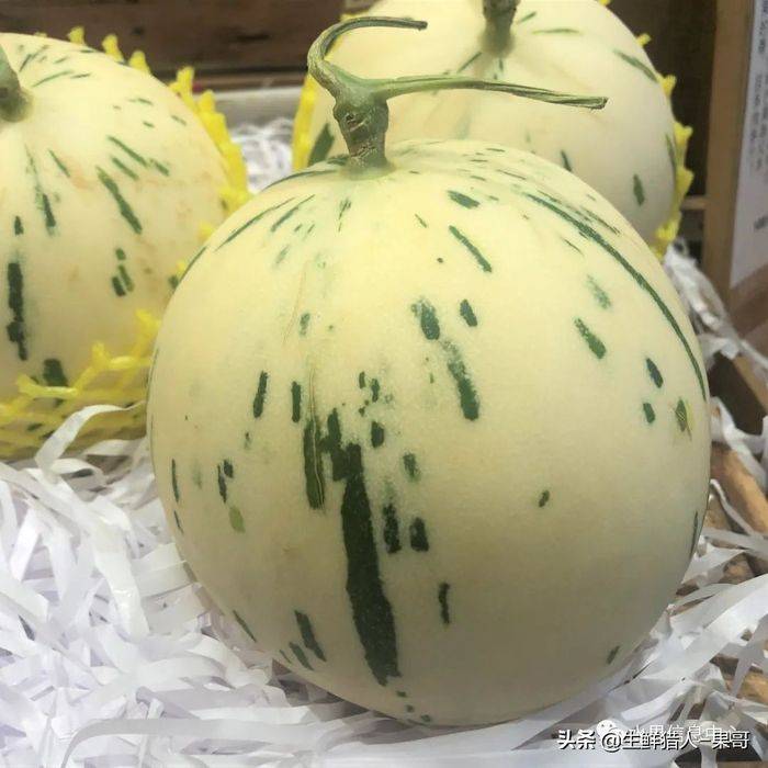 甜瓜种植技术视频