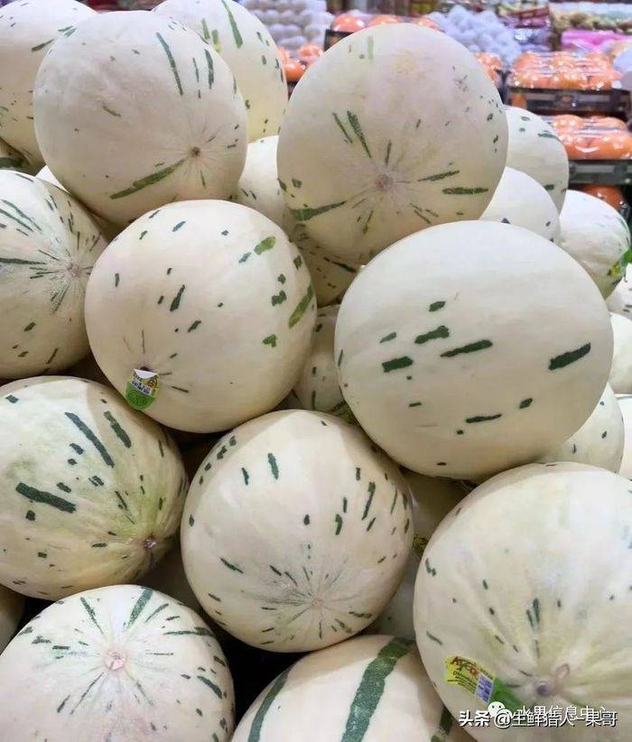 甜瓜种植技术视频