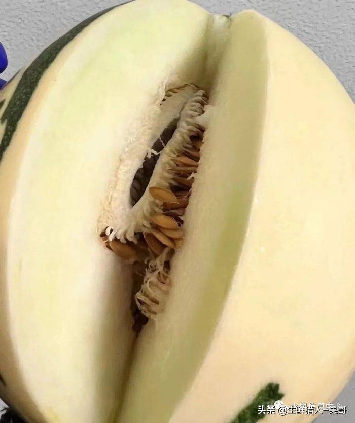 甜瓜种植技术视频