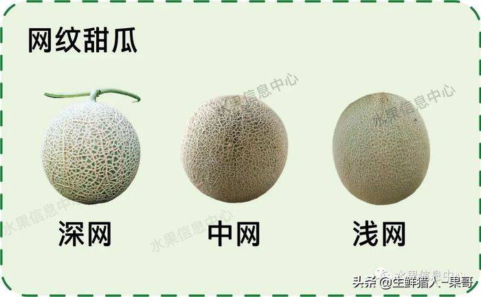 甜瓜种植技术视频