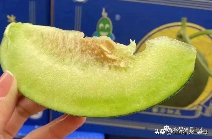 甜瓜种植技术视频