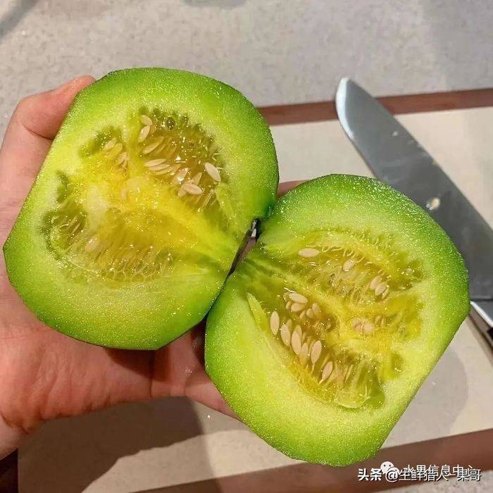 甜瓜种植技术视频