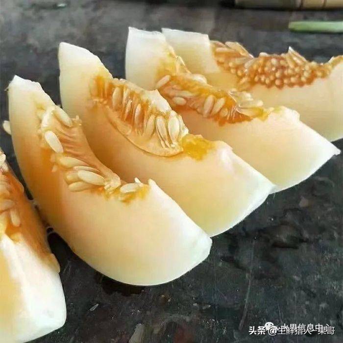 甜瓜种植技术视频