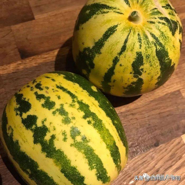 甜瓜种植技术视频