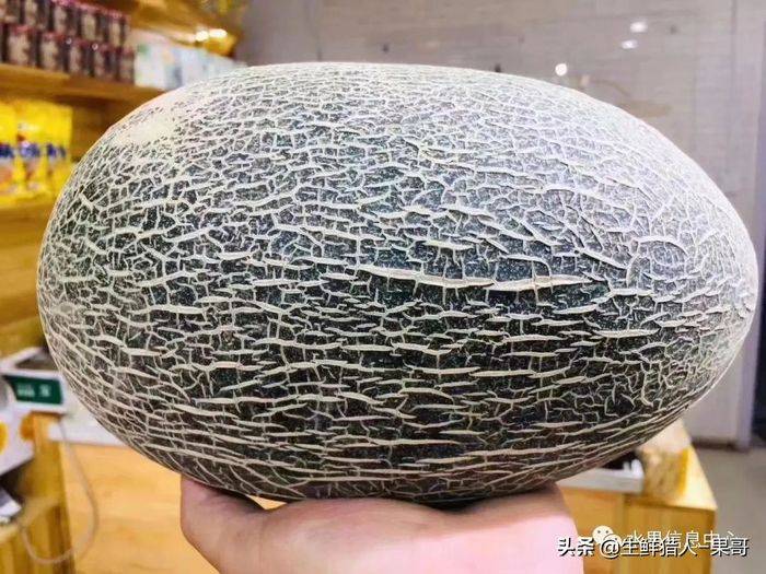 甜瓜种植技术视频