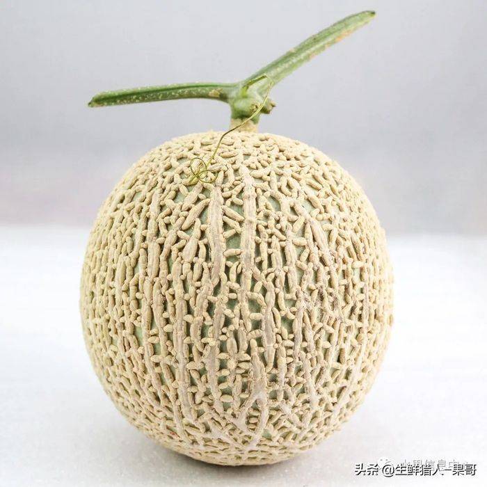甜瓜种植技术视频