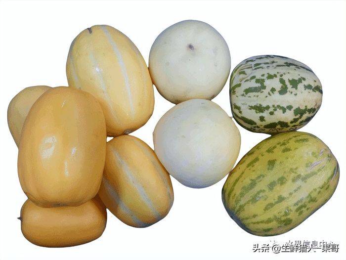 甜瓜种植技术视频