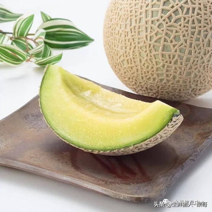 甜瓜种植技术视频
