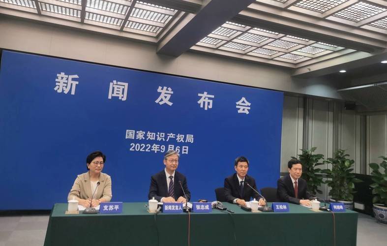 知识产权国际保护制度的内涵