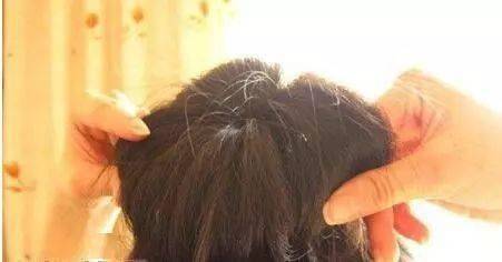 Long hair plaza graphing step