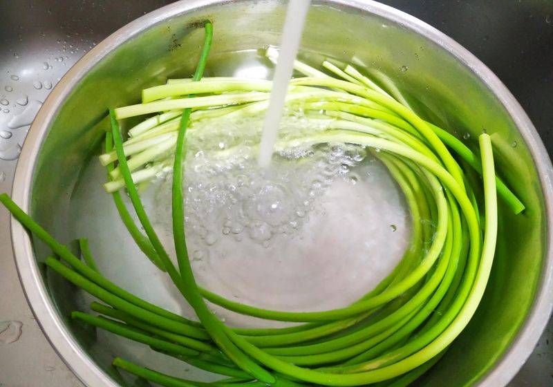 Spring garlic growing technology video