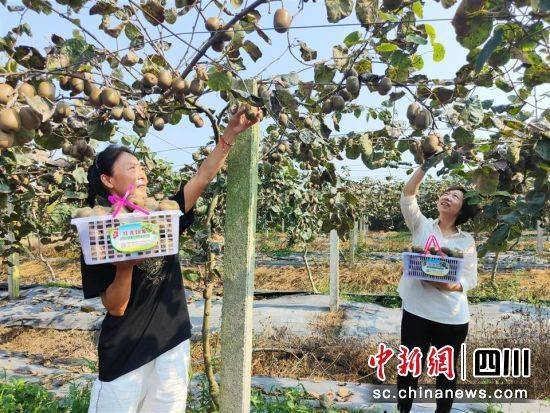 The technology of wild monkey cultivation