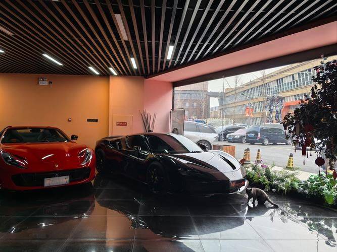 Lamborghini ip 550-2 how much? Money