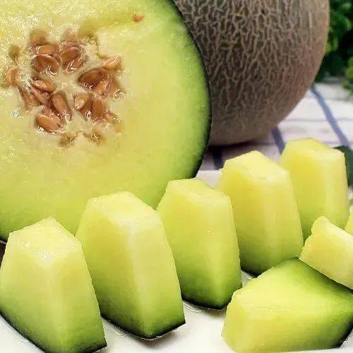 Video of melon planting techniques