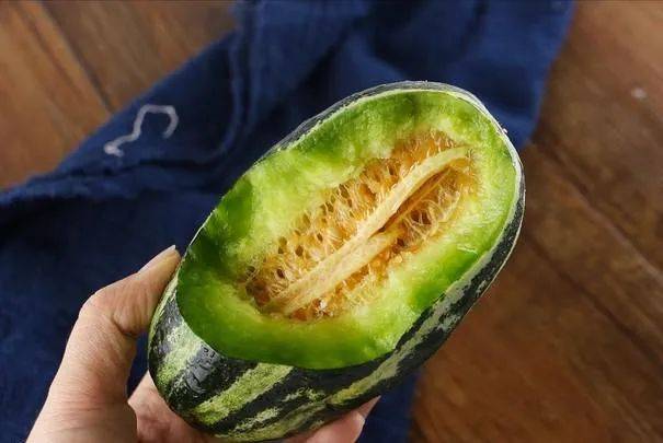Video of melon planting techniques