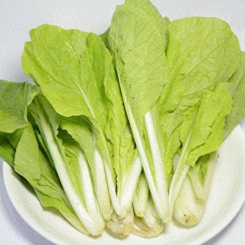 The method of growing cabbage in summer