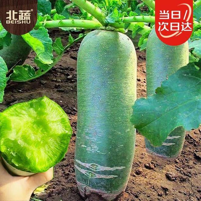The method of growing green vegetables