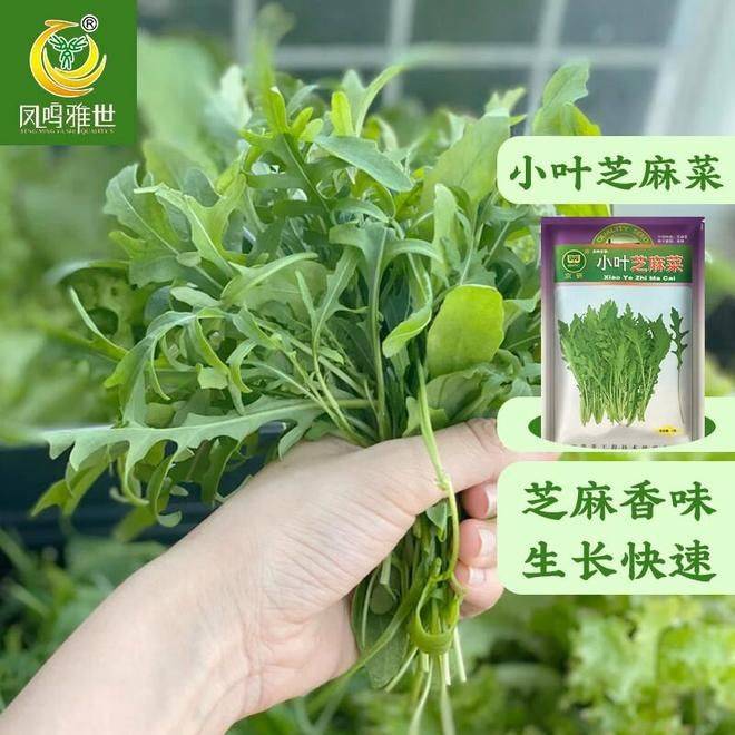The method of growing green vegetables