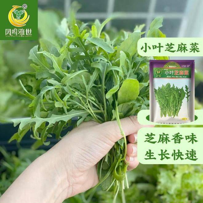 The method of growing green vegetables