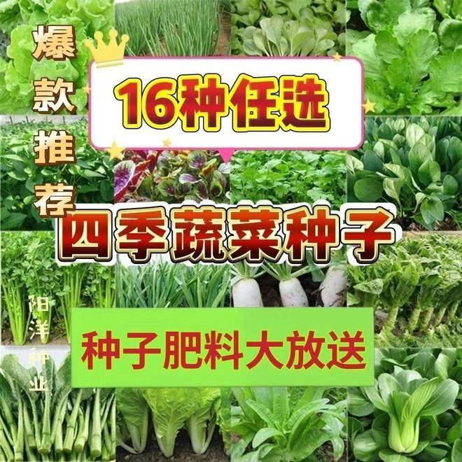 The method of growing green vegetables