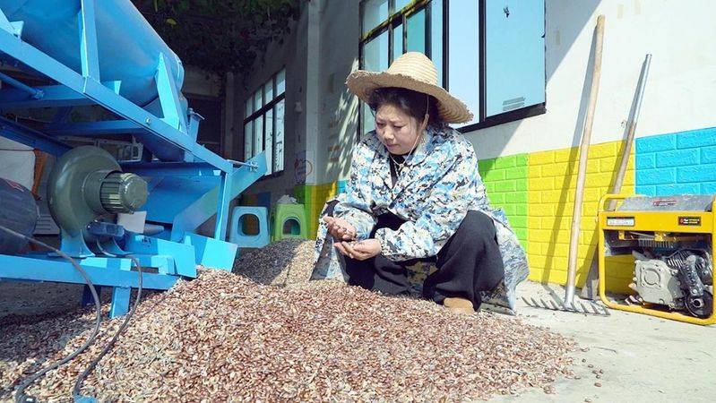 The technique of planting ricin