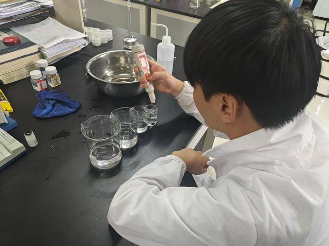 蓖麻的种植技术