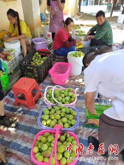 Peach growing techniques for eagles