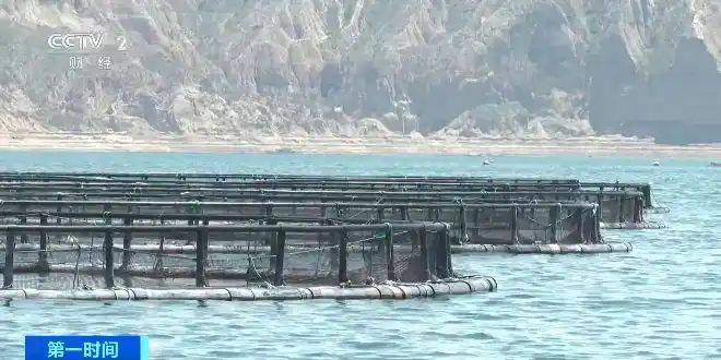 Price of rainbow trout feed
