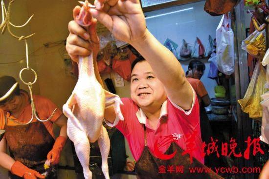 广州叫鸡价