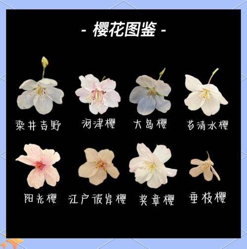 Methods of flowering