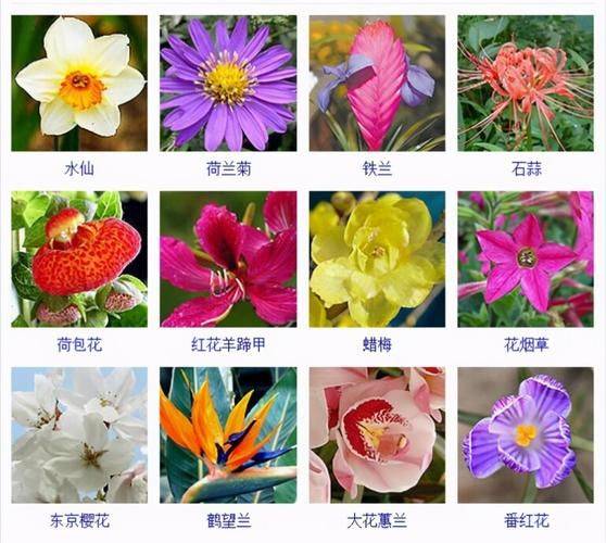 Methods of flowering