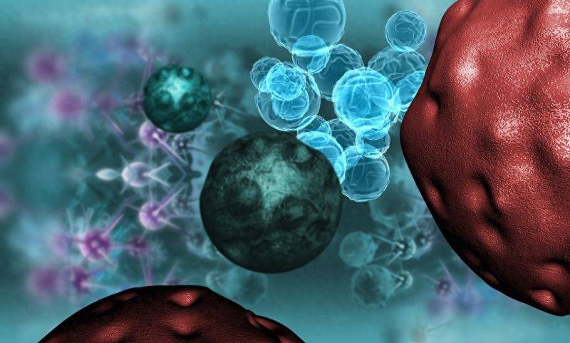 Carcinocyte fragmentation