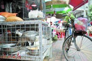 Guangzhou called chicken price