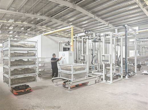 Jasmine plantation technology