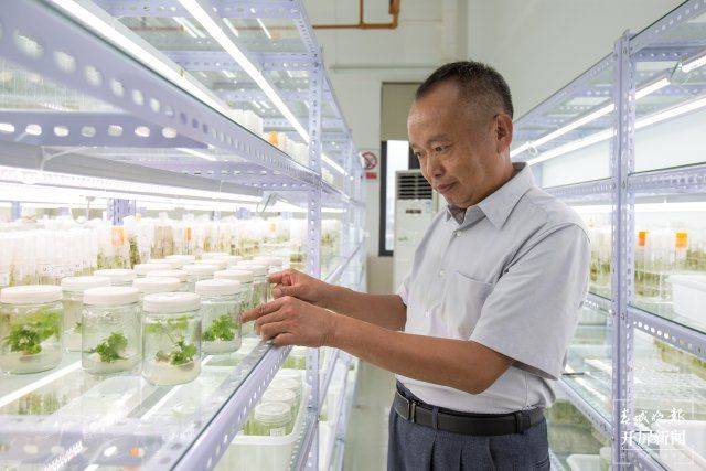 The technique of planting ricin