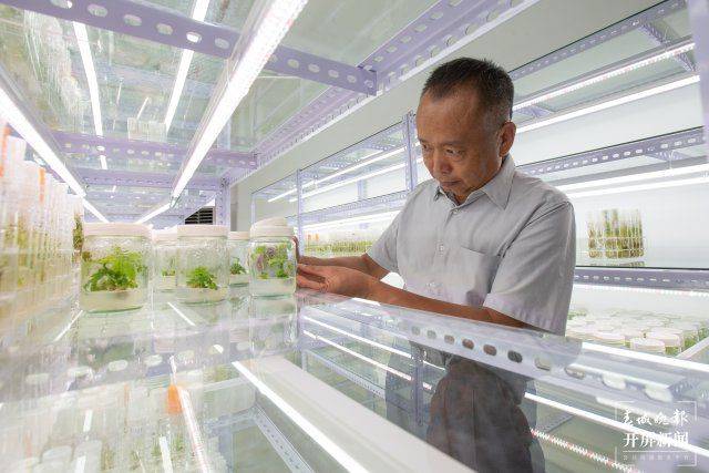 The technique of planting ricin