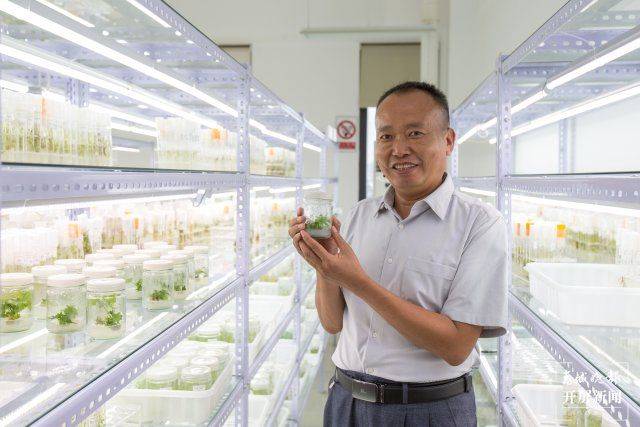 The technique of planting ricin