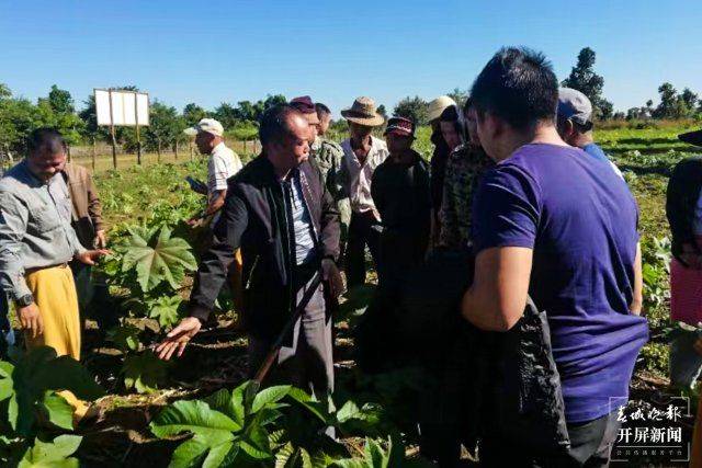 The technique of planting ricin